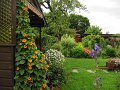 IMG_2117, (2)